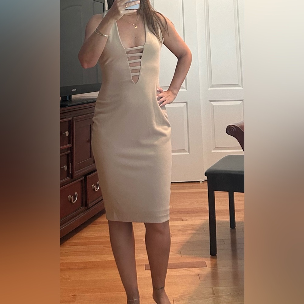 Hedonia Plunge Neck Dress